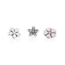 Load image into Gallery viewer, PDB 05  Silver 925 FLOATING LOCKET Small Charm Stored Infinite Small Charm Combination Series Double Heart Unlimited Series
